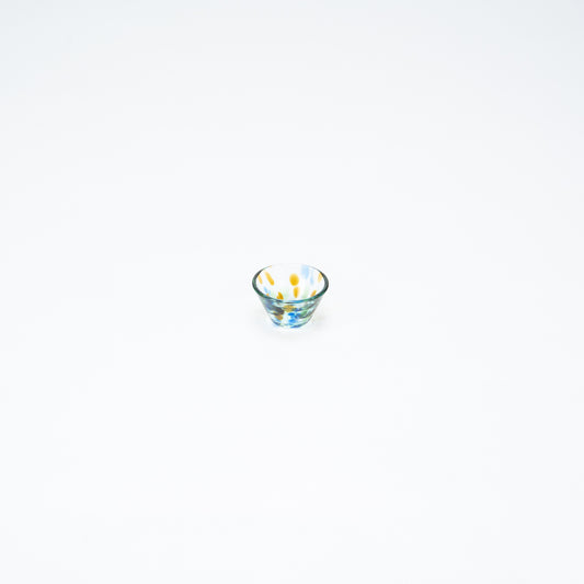 Broken Glassware Dish